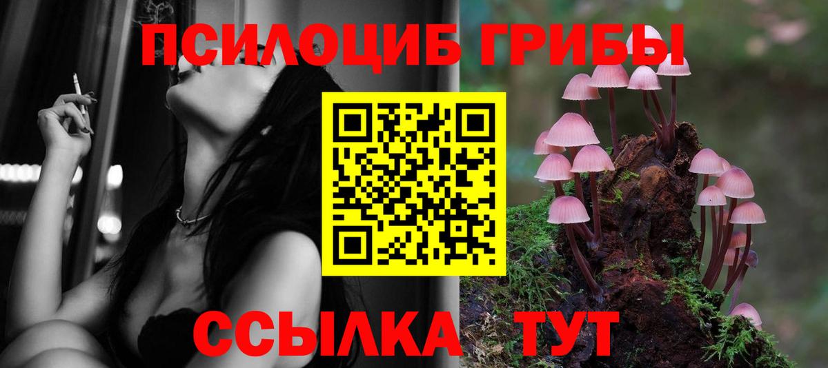 цена   Псилоцибиновые грибы прущие грибы  Вход с VPN  Псилоцибиновые грибы Magic Shrooms  Богданович 
